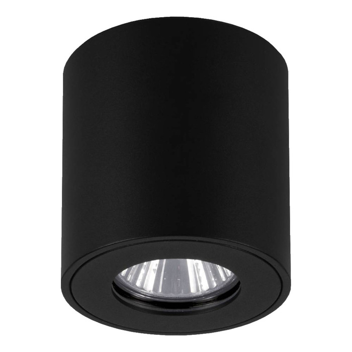 Eglo Torrecola loftlampe rund i sort - udendørs
